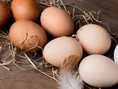 Ціни на яйця зросли за рік на третину: скільки коштує десяток у магазині