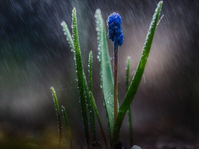 Почни з нуля: як закласти успіх у день весняного рівнодення