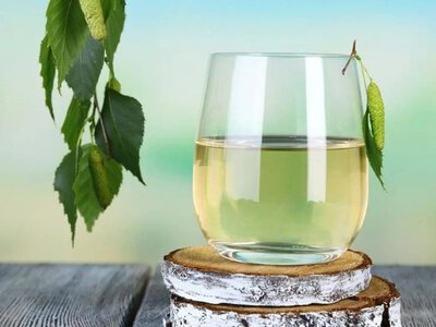 Як правильно збирати березовий сік 2026: інструкція, терміни та закон