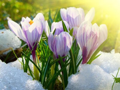 На Україну чекає найхолодніший у березні день зі снігом: коли накриє стихія