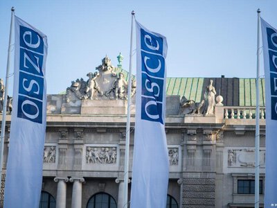 Правозахисники закликають виключити росіянку з делегації ОБСЄ на виборах в Угорщині