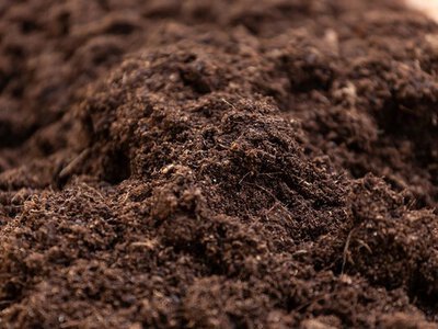 Як створити родючий ґрунт для піднятих грядок у новому саду