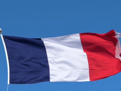 На виборах у Франції Гіттлер переміг Зеленського