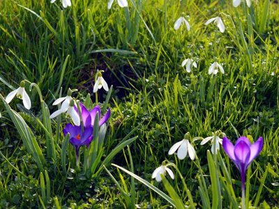 Погода кардинально зміниться: до чого готуватися українцям цього тижня?