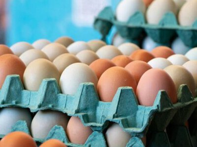 Де купити найдешевші курячі яйця