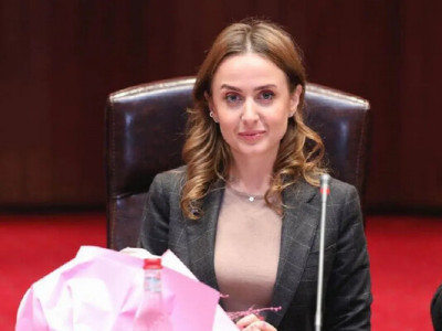 Регламентний комітет підтримав заяву Дар’ї Володіної про складання мандата