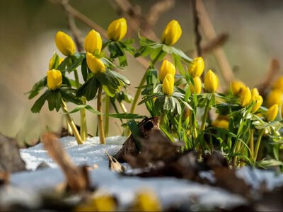 Зміна синоптичних потоків. Синоптикиня повідомила, які дні стануть найтеплішими