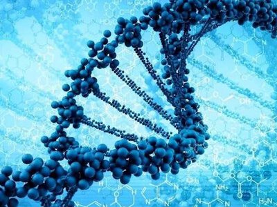 Українці зможуть здавати ДНК для пошуку зниклих безвісти у більшій кількості країн Європи