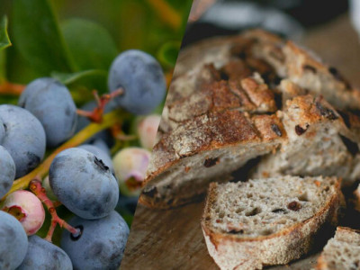 Лохина дасть утричі більше ягід: садівники розповіли про незвичний розчин з хліба