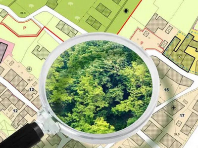 Хто має контролювати використання міської землі і чому порушення можуть роками залишатися непоміченими