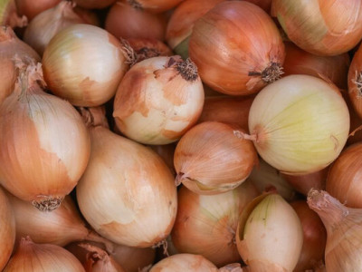 Ціни на цибулю стрімко падають: фермери масово розпродають запаси