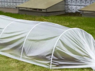 Скільки років служить теплична плівка: реальний досвід