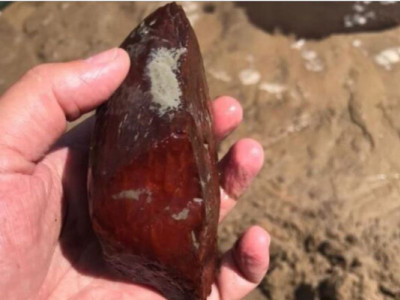 На Рівненщині злочинці під виглядом геологів незаконно видобували бурштин – накопали на 354 млн грн (ФОТО)