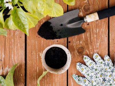 Весняний «допінг» для саду: чим підживити дерева та кущі в березні для рекордного врожаю