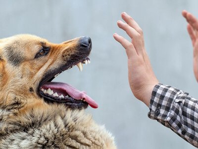 Сказ в Україні: вірус поруч, навіть коли його не видно