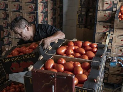 Зростання собівартості на 20% підштовхує ціни вгору: як це позначиться на продуктах у найближчі місяці