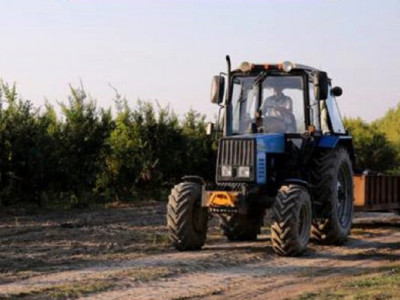 Українські фермери отримають 124 мільйони гривень на розвиток виробництва - Кабмін