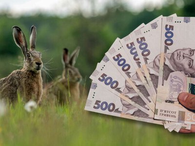 "Сезон тиші" в лісах і степах: за що українців можуть оштрафувати з 1 квітня