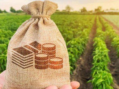 Мільйони для аграріїв як держава підтримає фермерів під час весняних робіт