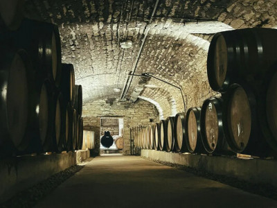 Бюджетний відпочинок у Європі: де дешево випити вина