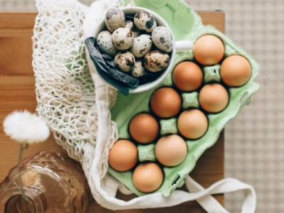 Перепелині чи курячі яйця: що корисніше і чи є різниця