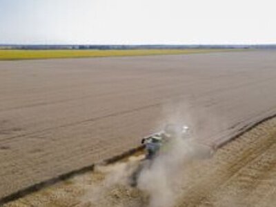 Несплата земельного податку в Україні: які наслідки загрожують власнику паю