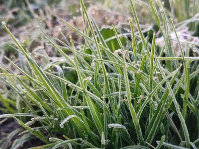 Погода у квітні 2026: українців чекають мороз та дощі, посіви можуть не встояти