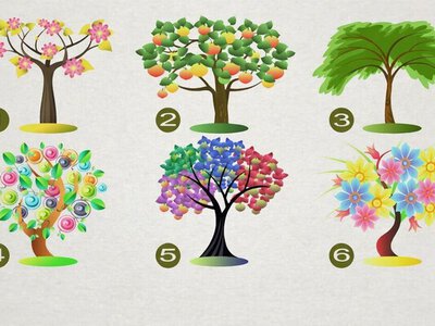 Оберіть дерево: швидкий тест розкриє ваш характер