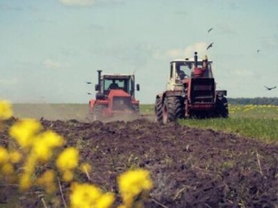 Ризик для врожаю: несприятливі дні у квітні для початку робіт