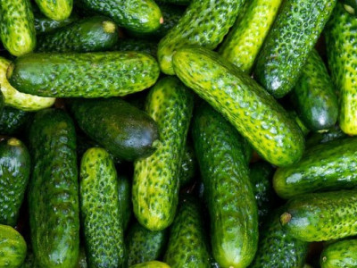 В Україні дорожчають огірки: які зараз ціни