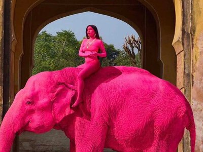 росіянка пофарбувала слониху в рожевий для фотосесії: в Індії розслідують смерть тварини