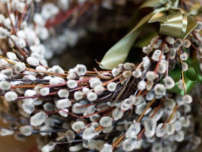 Вербна неділя: що треба зробити з вербою, щоб принести щастя у дім