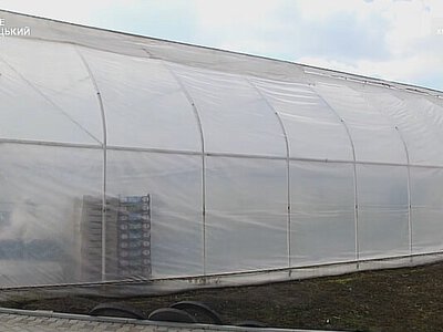 Від маленької теплиці до власної справи: родина з Хмельниччини вирощує у теплицях понад 60 сортів овочів і квітів