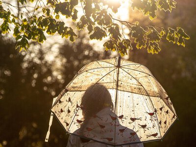 Весна з характером: де 4 квітня вдарять грози, а де буде +18°C