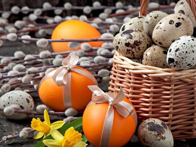 Не я бʼю, верба бʼє: як проходить Вербна неділя в Україні