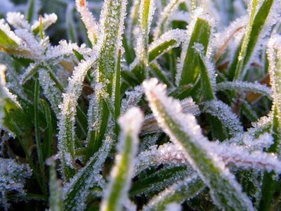 В Україну йде холод: прогноз погоди на 6–12 квітня з дощами та заморозками