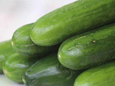 В Україні обвалилися ціни на тепличні огірки: що сталося на ринку