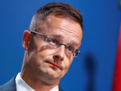 Неочікувана знахідка: посол ЄС натрапила на слід війни просто в лісі