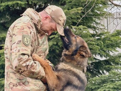 ВІДЕО. Кінолог розповів, як собаки допомагають шукати зниклих