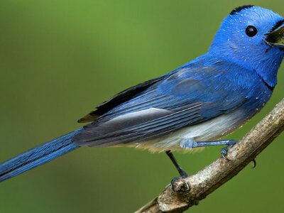 test article test article test article test article