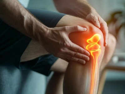 Доступно кожному: вчені знайшли спосіб зміцнити кістки