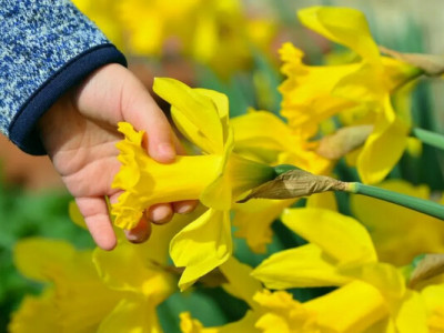 Коли до України повернеться весняне тепло: прогноз Наталки Діденко 
