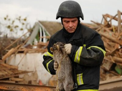 Руїни... Знищений житловий квартал на Житомирщині... ВІДЕО