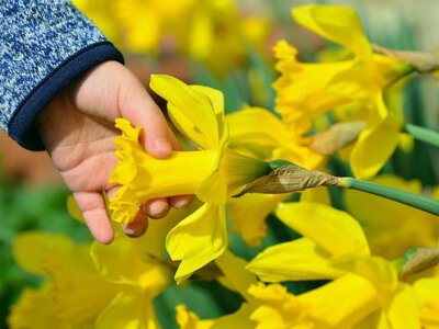 Синоптики назвали дати, коли до України повернеться весняне тепло