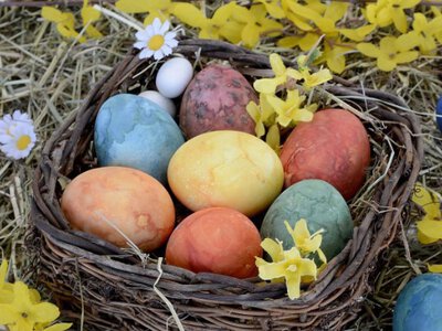 Не ризикуйте: коли не можна фарбувати яйця на Великдень