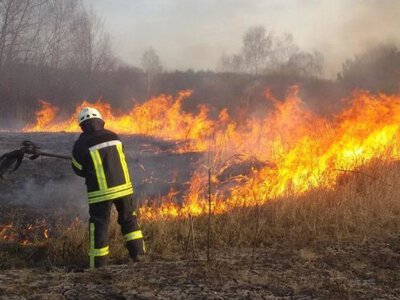 Спалювання трави: українцям загрожують великі штрафи