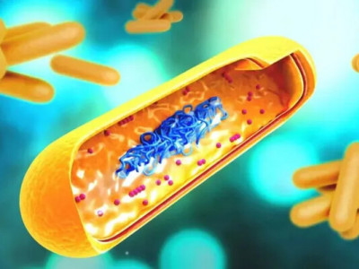 Вчені розробили назальну ДНК-вакцину проти туберкульозу