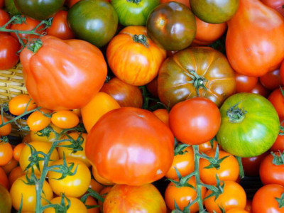 Чим підживити помідори у квітні, щоб вони дали гарний урожай: несподіваний продукт