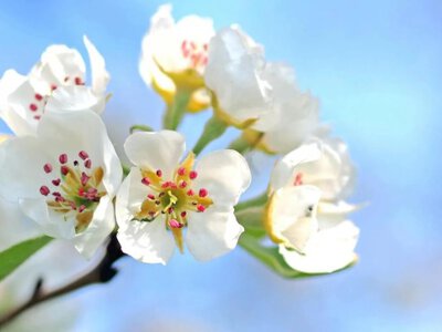 Сніг у квітні: коли чекати потепління