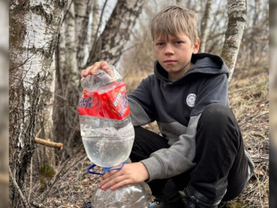 На Чернігівщині з березового соку готують окрошку і роблять закрутки